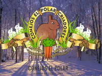El polar, cria de conejos enanos